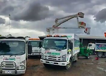 Traralgon Tree Services 1800 GOTREES image 1