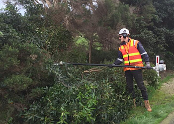 1800GoTrees Valley Wide Tree Service Pty Ltd.