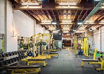 5th Element Wellness