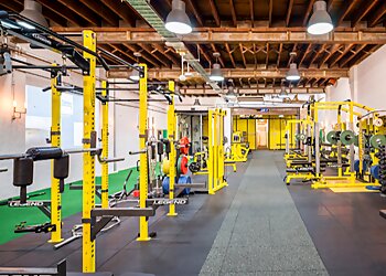 5th Element Wellness