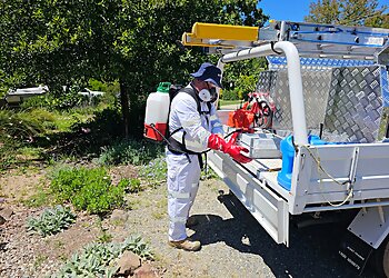 3 Best Pest Control Companies in Canberra, ACT - Expert ...