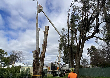 A1 Tree Service NSW Pty. Ltd.