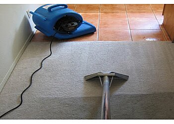 A&A Spectrum Carpet Cleaning and Pest Control