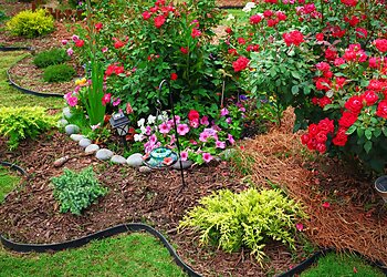 Hervey Bay Landscaping Companies ABC Landscape and Garden Solutions image 1