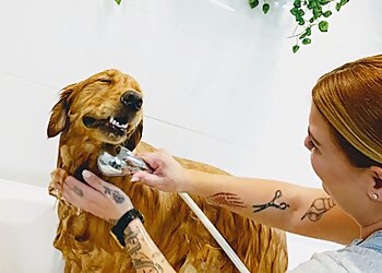 ALOHA HOUND The Organic, Natural & Holistic Dog Spa