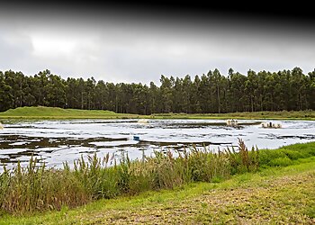 Abbotts Liquid Salvage