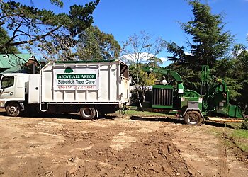 Mittagong Tree Services Above All Arbor image 1