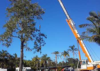 Accomplished Tree Management