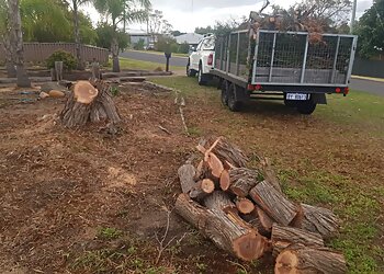 Action Tree & Garden Services