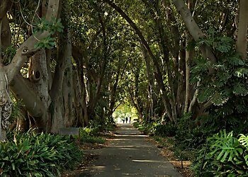 Adelaide Botanic Garden