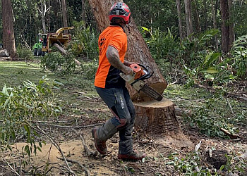 Advanced Tree Surgery Sunshine Coast