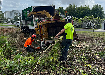 Advanced Tree Surgery Sunshine Coast