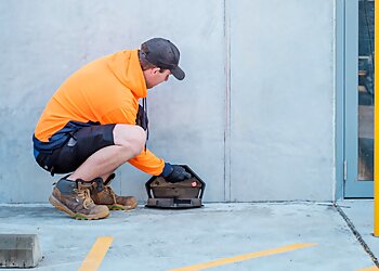 Affordable Pest Control Bomaderry