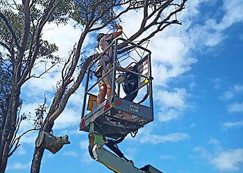 Affordable Tree Specialists