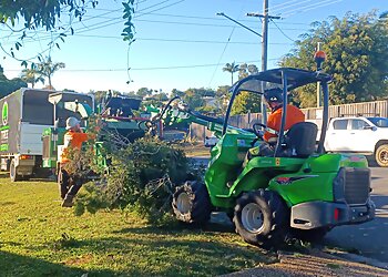 Affordable Tree Specialists