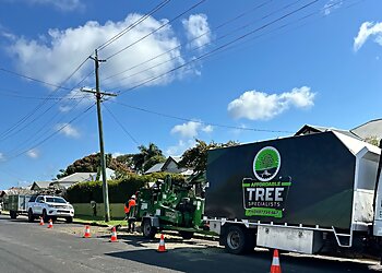 Hervey Bay Tree Services Affordable Tree Specialists image 1