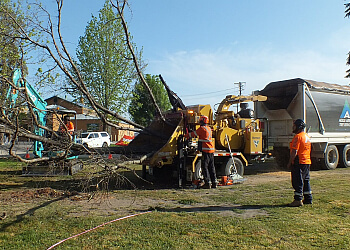 Agile Arbor Pty Ltd.