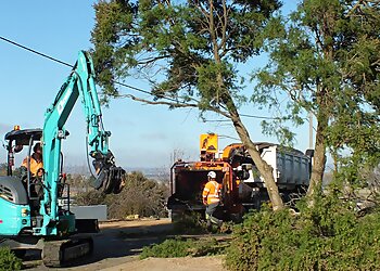 Agile Arbor Pty Ltd.