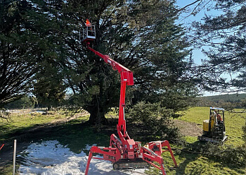 Agile Arbor Tree Services