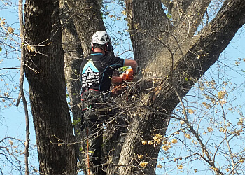 Agile Arbor Tree Services