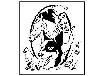 Albany Veterinary Hospital