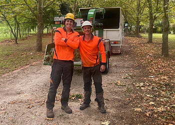 Albury Wodonga Tree Stump Removal