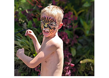 Ally's Fantastic Face Painting 