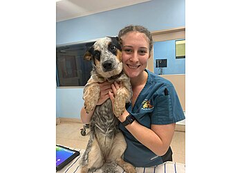 Alma Street Veterinary Hospital