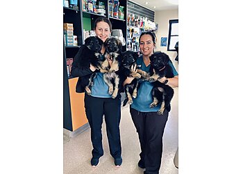 Alma Street Veterinary Hospital