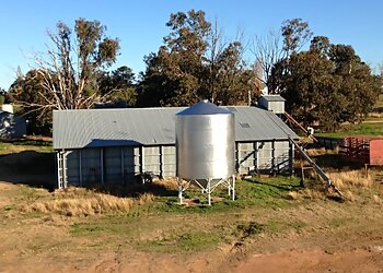 Amazing Roof Restorations