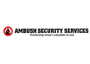 Ambush Security