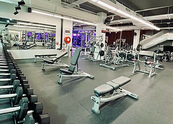 Sydney Gyms Anytime Fitness Haymarket image 1