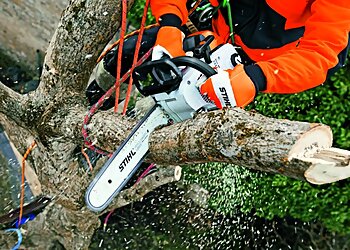 Arbator Tree Services