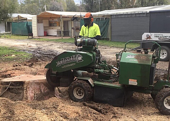Arbor Tree and Stump Removal