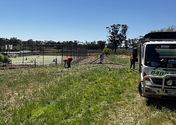 Arbortec Tree Service