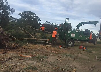 Arbpro Tree Specialists