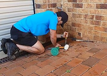 Pest Control Australia Coffs Harbour