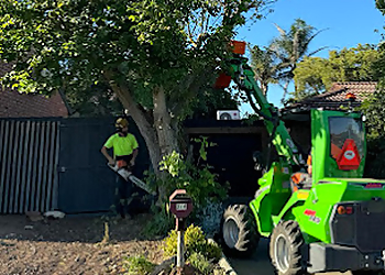 Ascent Tree Solutions