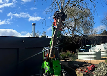 Ascent Tree Solutions Ascent Tree Solutions