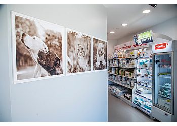 3 Best Veterinarians in Perth - Expert Recommendations