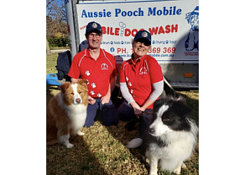 Dog Grooming Casino Nsw