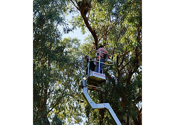 Aussie Tree Services