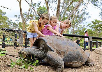 Australian Reptile Park