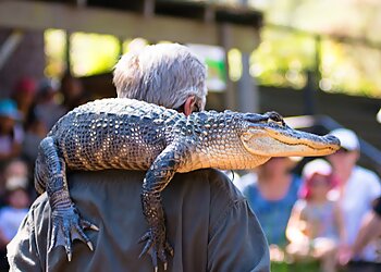 Australian Reptile Park