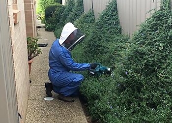 Avante Guard Pest Control