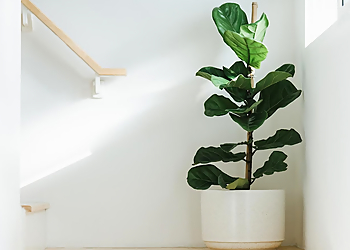 Awaken Cleaning Services