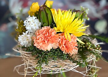 Blume by Colin Straub