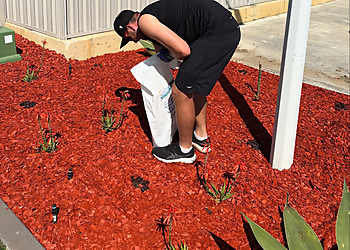 BYRNE Turf & Maintenance