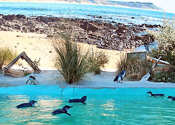 Ballarat Wildlife Park