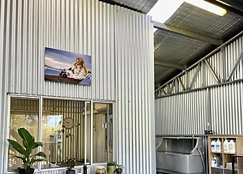 Barkin Beauty Grooming